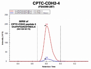 Click to enlarge image Immuno-MRM chromatogram of CPTC-CDH2-4 antibody with CPTC-CDH2 peptide 5 (NCI ID#176) as target