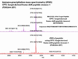 Click to enlarge image IPMS using CPTC-Senp6 derived frame shift peptide (mouse)-1 as capture Ab against CPTC-Senp6 derived frame shift peptide (mouse)-1 (NCI ID 00285) in bottom panel. Also included reference of Ag QC (top panel).