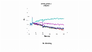 Click to enlarge image Affinity and binding kinetics of CPTC-APOB-3 and Apolipoprotein B / Apo B (APOB 100) human protein were measured using surface plasmon resonance. CPTC-APOB-3 was captured onto a Series S Protein G biosensor chip.  APOB 100 native protein, 64 nM, 16 nM, 4 nM, and 1 nM, was used as analyte. No binding was observed.