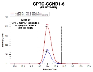 Click to enlarge image Immuno-MRM chromatogram of CPTC-CCND1-6 antibody with CPTC-CCND1 peptide 5 (NCI ID#00134) as target