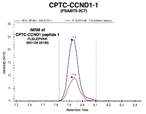 Click to enlarge image Immuno-MRM chromatogram of CPTC-CCND1-1 antibody with CPTC-CCND1 peptide 1 (NCI ID#00130) as target