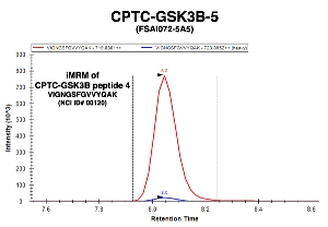 Click to enlarge image Immuno-MRM chromatogram of CPTC-GSK3B-3 antibody with CPTC-GSK3B peptide 4 (NCI ID#00120) as target