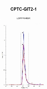 Click to enlarge image iMRM Chromatogram of antibody CPTC-GIT2-1