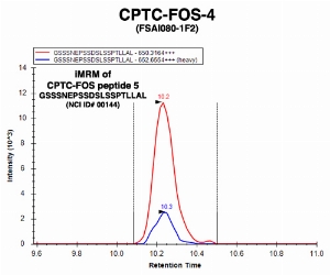 Click to enlarge image Immuno-MRM chromatogram of CPTC-FOS-1 antibody with CPTC-FOS peptide 5 (NCI ID#00144) as target