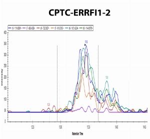 Click to enlarge image iMRM data obtaiend form the incubation of the cell lysate H3255 digest with clone CPTC-ERRFI1-2. Data were acquired on the nano-chip-LC using a 1260 Infinity Series HPLC-Chip cube interface (Agilent, Palo Alto, CA) coupled to a 6495-triple quadrupole mass spectrometer (Agilent). A large capacity chip system (G4240-62010) consisting of a 160 nl enrichment column and a 150 mm*75 um analytical column (Zorbax 300SB-C18, 5 um, 30 A pore size) was used. The clone is able to capture the endogenous target peptide VSSTHYpYLLPERPPYLDK (CPTC-ERRF1 Peptide 1).