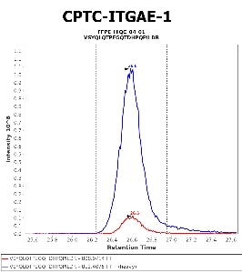 Click to enlarge image Immuno-MRM chromatogram of CPTC-ITGAE-1 antibody (see CPTAC assay portal for details: https://assays.cancer.gov/CPTAC-5961)
Data provided by the Paulovich Lab, Fred Hutch (https://research.fredhutch.org/paulovich/en.html). Data shown were obtained from FFPE tumor tissue lysate pool.