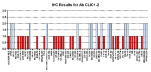 Click to enlarge image Immunohistochemistry of CPTC-CLIC1-2 for NCI60 Cell Line Array. Data scored as:
0=NEGATIVE
1=WEAK (red)
2=MODERATE (blue)
3=STRONG (green)
Titer: 1:250
