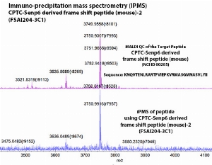 Click to enlarge image IPMS using CPTC-Senp6 derived frame shift peptide (mouse)-1 as capture Ab against CPTC-Senp6 derived frame shift peptide (mouse)-2 (NCI ID 00285) in bottom panel. Also included reference of Ag QC (top panel).