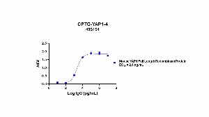 Click to enlarge image Indirect ELISA using CPTC-YAP1-4 as primary mouse antibody against mouse YAP1 full length recombinant protein, coated on the plate and detected using goat anti-mouse antibody and TMB.