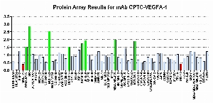Click to enlarge image Protein Array in which CPTC- VEGFA-1 is screened against the NCI60 cell line panel for expression. Data is normalized to a mean signal of 1.0 and standard deviation of 0.5. Color conveys over-expression level (green), basal level (blue), under-expression level (red).