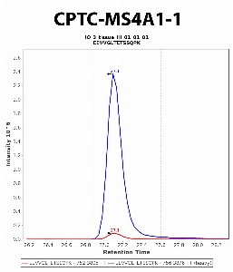 Click to enlarge image Immuno-MRM chromatogram of CPTC-MS4A1-1 antibody (see CPTAC assay portal for details: https://assays.cancer.gov/CPTAC-6239)
Data provided by the Paulovich Lab, Fred Hutch (https://research.fredhutch.org/paulovich/en.html). Data shown were obtained from frozen tissue