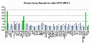 Click to enlarge image Protein Array in which CPTC-MPO-1 is screened against the NCI60 cell line panel for expression. Data is normalized to a mean signal of 1.0 and standard deviation of 0.5. Color conveys over-expression level (green), basal level (blue), under-expression level (red).
