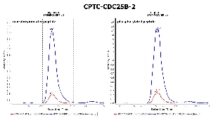 Click to enlarge image Immuno-MRM chromatogram of CPTC-CDC25B-2 antibody (see CPTAC assay portal for details: https://assays.cancer.gov/CPTAC-5904 for non-phosphorylated peptide and https://assays.cancer.gov/CPTAC-590  for phosphorylated peptide)
Data provided by the Paulovich Lab, Fred Hutch (https://research.fredhutch.org/paulovich/en.html). Data shown were obtained from cell lysate.