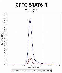 Click to enlarge image Immuno-MRM chromatogram of CPTC-STAT6-1 antibody (see CPTAC assay portal for details: https://assays.cancer.gov/CPTAC-5965)
Data provided by the Paulovich Lab, Fred Hutch (https://research.fredhutch.org/paulovich/en.html). Data shown were obtained from FFPE tumor tissue lysate pool.