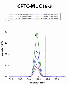 Click to enlarge image iMRM screening of CPTC-MUC16-3 against synthetic peptide NIEDALNQLER  (Mucin 16 Peptide 3)

Data provided by the Carr Lab, Broad Institute
https://www.broadinstitute.org/proteomics/protocols