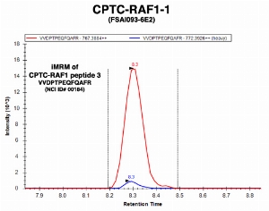 Click to enlarge image Immuno-MRM chromatogram of CPTC-RAF1-1 antibody with CPTC-RAF1 peptide 3 (NCI ID#184) as target