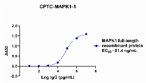 Click to enlarge image Indirect ELISA using CPTC-MAPK1-1 antibody as primary rabbit antibody against full length recombinant MAPK1 protein. MAPK1 recombinant protein was coated on the plate and detected using goat anti-rabbit antibody and TMB.