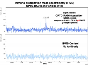 Click to enlarge image Immuno-Precipitation Mass Spectrometry using CPTC-RAD18-2 antibody with CPTC-RAD18 peptide 1 (phosphorylated) as the target antigen.