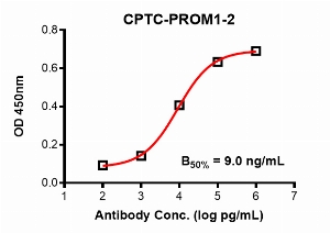 Click to enlarge image Indirect ELISA using CPTC-PROM1-2 as primary antibody against PROM1 domain comprising amino acids 515-745.