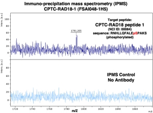 Click to enlarge image Immuno-Precipitation Mass Spectrometry using CPTC-RAD18-1 antibody with CPTC-RAD18 peptide 1 (phosphorylated) as the target antigen.