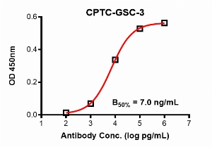 Click to enlarge image Indirect ELISA using CPTC-GSC-3 as primary antibody against recombinant GSC protein (amino acids 1-257).
