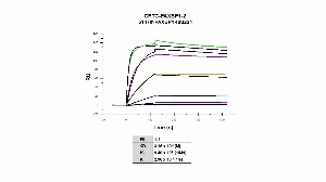 Click to enlarge image Affinity and binding kinetics of CPTC-PAXBP1-2 and BSA-conjugated peptide, &ldquo;LKPRKRPRENKEVPC&ldquo;, using surface plasmon resonance. CPTC-PAXBP1-2 antibody was captured onto a Series S Protein G biosensor chip and BSA-conjugated peptide, 1024 nM, 256 nM, 64 nM, 16 nM, 4 nM, and 1.0 nM was used as analyte. Binding data were double-referenced and analyzed globally.