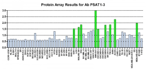 Click to enlarge image Protein Array in which CPTC-PSAT1-3 is screened against the NCI60 cell line panel for expression. Data is normalized to a mean signal of 1.0 and standard deviation of 0.5. Color conveys over-expression level (green), basal level (blue), under-expression level (red).