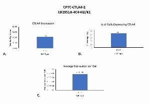Click to enlarge image Single cell western blot using CPTC-CTLA4-2 as a primary antibody against cell lysates.  Relative expression of total CTLA4 in MCF7 cells (A).  Percentage of cells that express CTLA4 (B).  Average expression of CTLA4 protein per cell (C).  All data is normalized to β-tubulin expression.