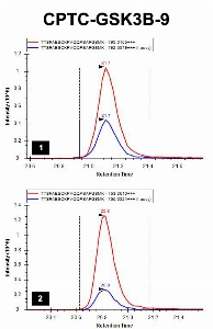 Click to enlarge image iMRM screening results for clone CPTC-GSK3B-9. The clone is able to pull down the target peptide (panel 1, CPTC-GSK3b Peptide 5, TT(pS)FAESCKPVQQPSAFGSMK) and the non-phosphorylated peptide TTSFAESCKPVQQPSAFGSMK (panel 2).