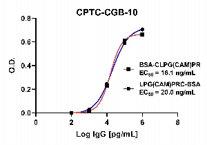 Click to enlarge image Indirect ELISA using CPTC-CGB-10 as primary antibody against BSA-conjugated Chorionic Gonadotropin Subunit Beta Peptide 3 (LPG(CAM)PRC-BSA) and BSA-conjugated Chorionic Gonadotropin Subunit Beta Peptide 3 (BSA-CLPG(CAM)PR).