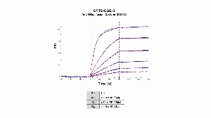 Click to enlarge image The affinity and binding kinetics of CPTC-CGB-3 and BSA-conjugated Chorionic Gonadotropin Subunit Beta Peptide 3 (LPG(CAM)PRC-BSA) was measured using biolayer interferometry. CPTC-CGB-3 was covalently immobilized on amine-reactive second-generation sensors. BSA-conjugated peptide, 4.0 nM, 1.0 nM, 0.5 nM, 0.25 nM, 0.125 nM and 0.0625 nM, was used as analyte.