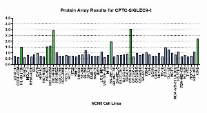 Click to enlarge image Protein Array in which CPTC-SIGLEC9-1 is screened against the NCI60 cell line panel for expression. Data is normalized to a mean signal of 1.0 and standard deviation of 0.5.