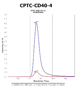 Click to enlarge image Immuno-MRM chromatogram of CPTC-CD40-4 antibody (see CPTAC assay portal for details: https://assays.cancer.gov/CPTAC-5957)
Data provided by the Paulovich Lab, Fred Hutch (https://research.fredhutch.org/paulovich/en.html). Data shown were obtained from FFPE tumor tissue lysate pool.