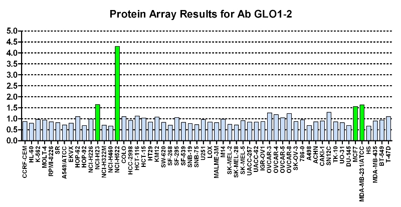 Click to enlarge image Protein Array in which CPTC-GLO1-2 is screened against the NCI60 cell line panel for expression. Data is normalized to a mean signal of 1.0 and standard deviation of 0.5. Color conveys over-expression level (green), basal level (blue), under-expression level (red).