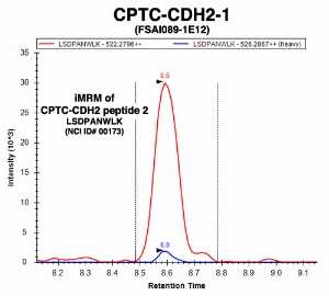Click to enlarge image Immuno-MRM chromatogram of CPTC-CDH2-1 antibody with CPTC-CDH2 peptide 2 (NCI ID#173) as target