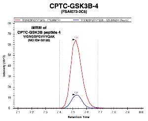 Click to enlarge image Immuno-MRM chromatogram of CPTC-GSK3B-4 antibody with CPTC-GSK3B peptide 4 (NCI ID#00120) as target