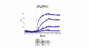 Click to enlarge image Affinity and binding kinetics of CPTC-KRAS4A-1 antibody and KRAS4A recombinant protein using biolayer interferometry. CPTC-KRAS4A-1 antibody was covalently immobilized on amine-reactive second-generation sensors. KRAS4A recombinant protein, 16 nM, 4.0 nM, 1 nM and 0.25 nM, was used as analyte.