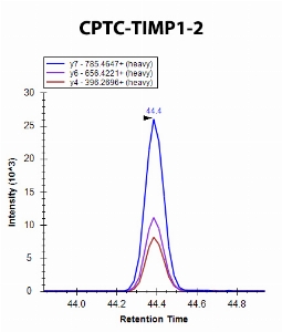 Click to enlarge image iMRM screening of CPTC-TIMP1-2 against synthetic peptide SEEFLIAGK (TIMP Metallopeptidase Inhibitor 1 Peptide 2)