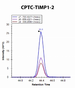 Click to enlarge image iMRM screening of CPTC-TIMP1-2 against synthetic peptide SEEFLIAGK (TIMP Metallopeptidase Inhibitor 1 Peptide 2)

Data provided by the Carr Lab, Broad Institute
https://www.broadinstitute.org/proteomics/protocols