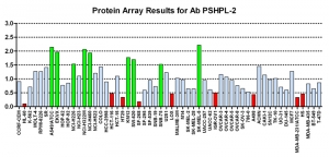 Click to enlarge image Protein Array in which CPTC-PSPHL-2 is screened against the NCI60 cell line panel for expression. Data is normalized to a mean signal of 1.0 and standard deviation of 0.5. Color conveys over-expression level (green), basal level (blue), under-expression level (red).