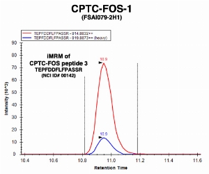 Click to enlarge image Immuno-MRM chromatogram of CPTC-FOS-1 antibody with CPTC-FOS peptide 3 (NCI ID#00142) as target