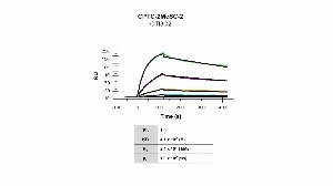 Click to enlarge image Affinity and binding kinetics of CPTC-2MeSC-2 and BSA-conjugated Itaconate peptide were measured using surface plasmon resonance. CPTC-2MeSC-2 antibody was captured onto a Series S Protein G biosensor chip. The BSA-conjugated Itaconate peptide was titrated over the antibody surface at 1024 nM, 256 nM, 64 nM, 16 nM, 4 nM, 1.0 nM , 0.25 nM,  and 0.0625 nM. Binding data were double-referenced and analyzed globally to a 1:1 fitting model.