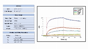 Click to enlarge image Affinity and binding kinetics of CPTC-MSH3-1 and BSA-conjugated peptide, "CDLSDFPLIK", were measured using biolayer interferometry. BSA-conjugated peptide was amine coupled over AR2G bio- sensors. Rabbit antibody CPTC-MSH3-1 was used as analyte and was titrated at 1024 nM, 256 nM, 64 nM, 16 nM, and 4 nM. Buffer only and biosensors immobilized without peptide were used as references for background subtraction. All binding data were double referenced and analyzed globally using a 1:2 bivalent fitting model.