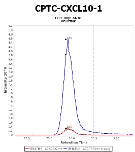 Click to enlarge image Immuno-MRM chromatogram of CPTC-CXCL10-1 antibody (see CPTAC assay portal for details: https://assays.cancer.gov/CPTAC-5938)
Data provided by the Paulovich Lab, Fred Hutch (https://research.fredhutch.org/paulovich/en.html). Data shown were obtained from FFPE tumor tissue lysate pool.