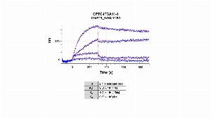 Click to enlarge image The affinity and binding kinetics of CPTC-ITGA11-1 and BSA-conjugated peptide “CRREPGLDPTPKVLE” were measured using biolayer interferometry. CPTC-ITGA11-1 antibody was covalently immobilized onto amine-reactive second-generation sensors (AR2G).  BSA-conjugated peptide “CRR”, 1 nM, 0.25 nM, 0.0039 nM, and 000977 nM, was used as analyte. Buffer only and biosensors immobilized without antibody were used as references for background subtraction.