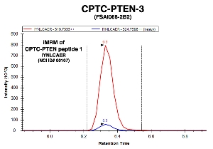 Click to enlarge image Immuno-MRM chromatogram of CPTC-PTEN-3 antibody with CPTC-PTEN peptide 1 (NCI ID#107) as target