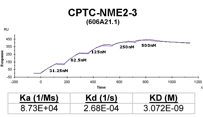 Click to enlarge image Kinetic titration data for NME2-3 Ab (606A21.1) using Biacore SPR method
