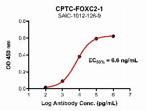 Click to enlarge image Indirect ELISA using CPTC-FOXC2-1 as primary antibody against FOXC2 domain comprising amino acids 1-70.