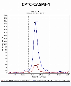 Click to enlarge image "Immuno-MRM chromatogram of CPTC-CASP3-1 antibody (see CPTAC assay portal for details: https://assays.cancer.gov/CPTAC-597)
Data provided by the Paulovich Lab, Fred Hutch (https://research.fredhutch.org/paulovich/en.html)"