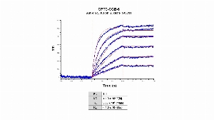 Click to enlarge image The affinity and binding kinetics of CPTC-CGB-6 and BSA-conjugated Chorionic Gonadotropin Subunit Beta Peptide 2 (BSA-CDHPLT(CAM)DDRP) was measured using biolayer interferometry. CPTC-CGB-6 was covalently immobilized on amine-reactive second-generation sensors. BSA-conjugated peptide, 2.0 nM, 1.0 nM, 0.5 nM, 0.25 nM, 0.125 nM and 0.0625 nM, was used as analyte.